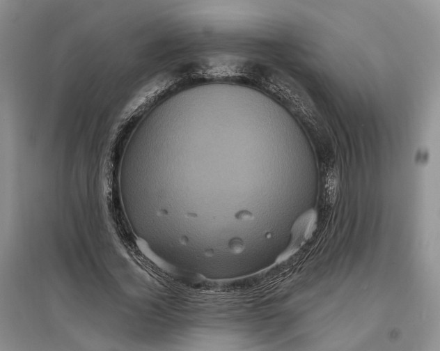 X0000097290732200802291750