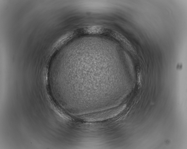 X0000097290733200802291750