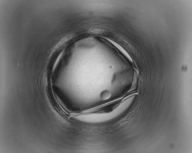 X0000097290734200802291750