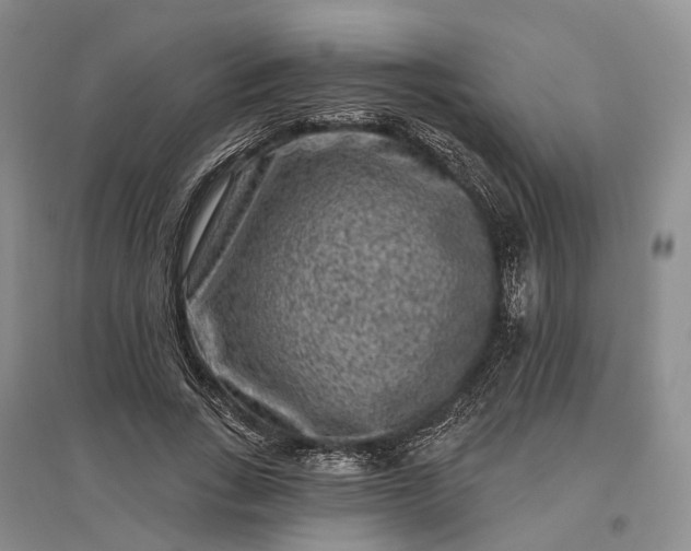 X0000097290735200802291750