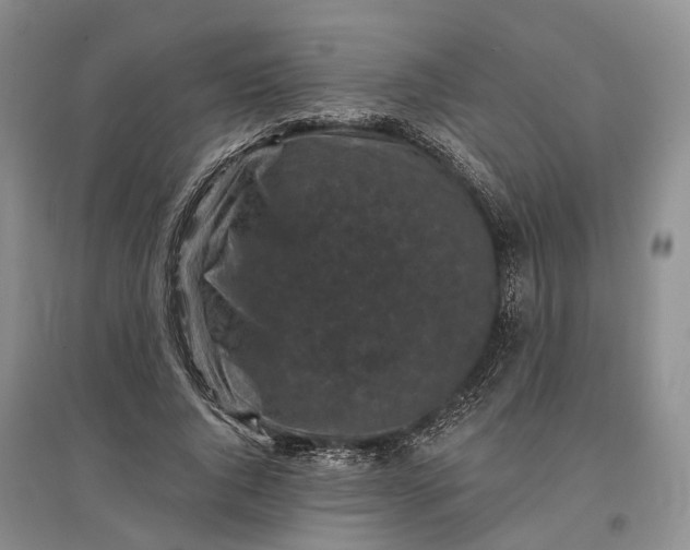 X0000097290736200802291750