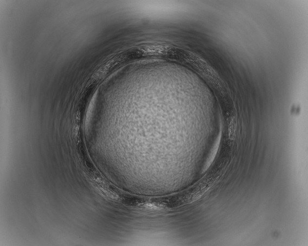 X0000097290737200802291750