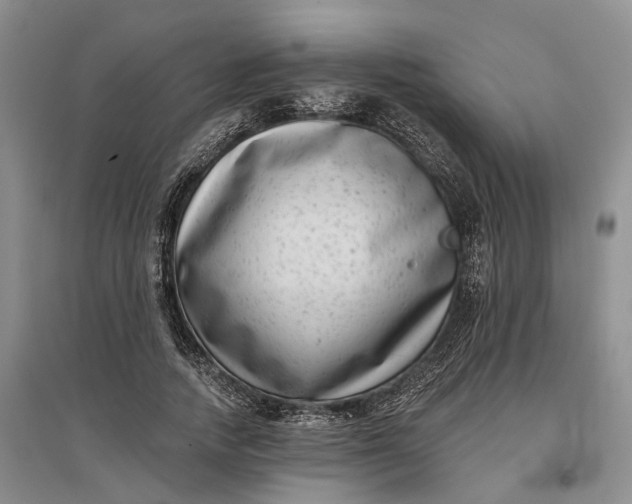 X0000097290738200802291750