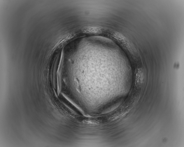 X0000097290739200802291750