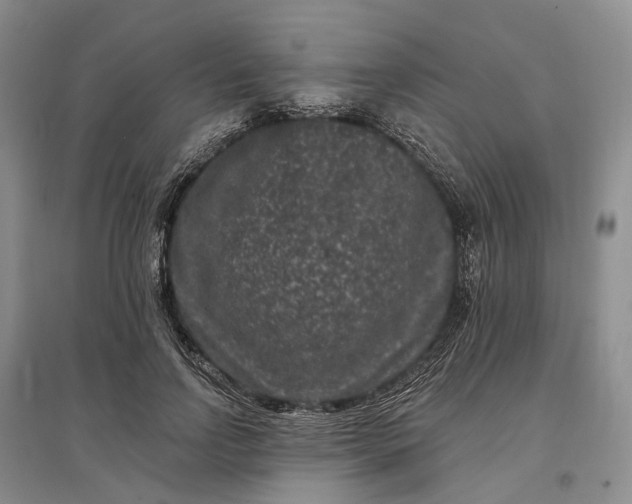 X0000097290742200802291750