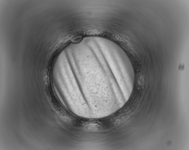 X0000097290743200802291750