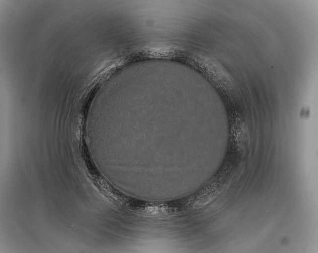 X0000097290744200802291750
