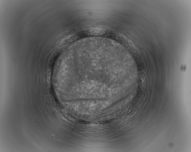 X0000097290745200802291750