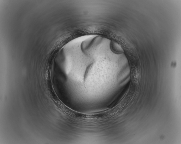 X0000097290746200802291750