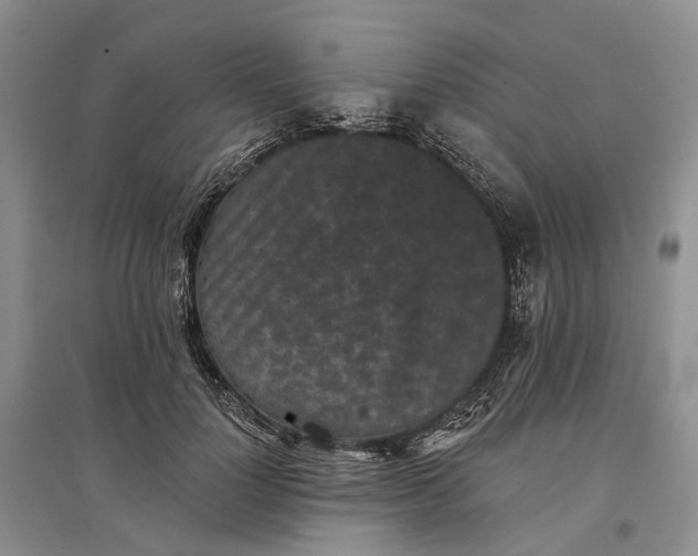 X0000097290748200802291750