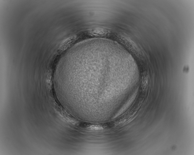 X0000097290749200802291750