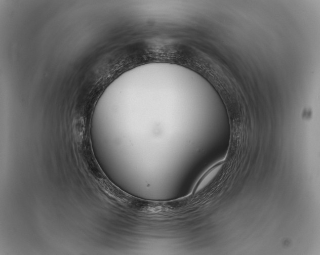 X0000097290752200802291751
