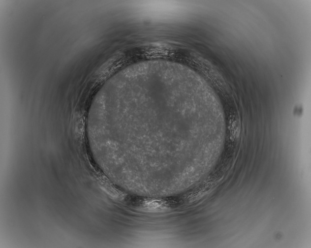 X0000097290753200802291751