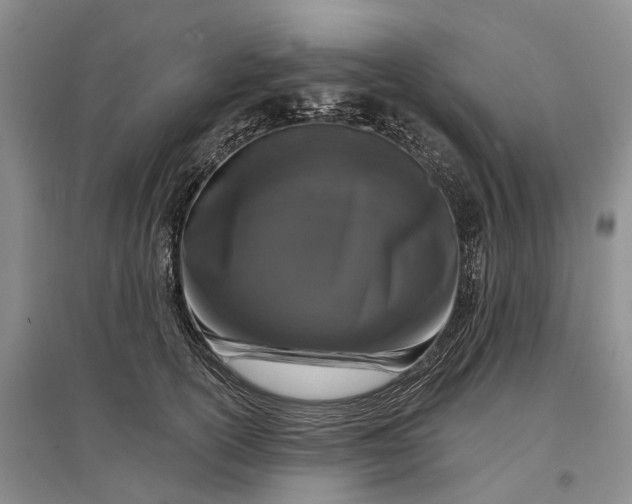 X0000097290754200802291751