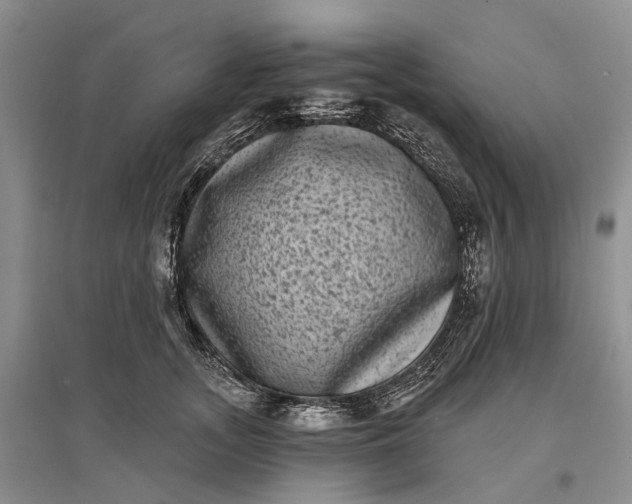 X0000097290755200802291751