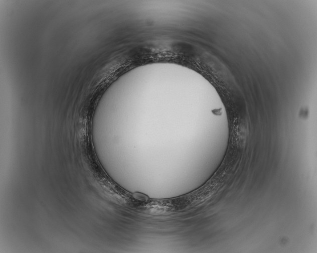 X0000097290756200802291751