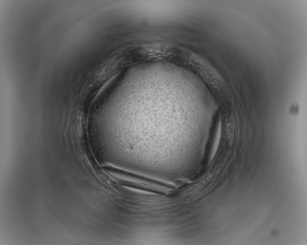 X0000097290757200802291751