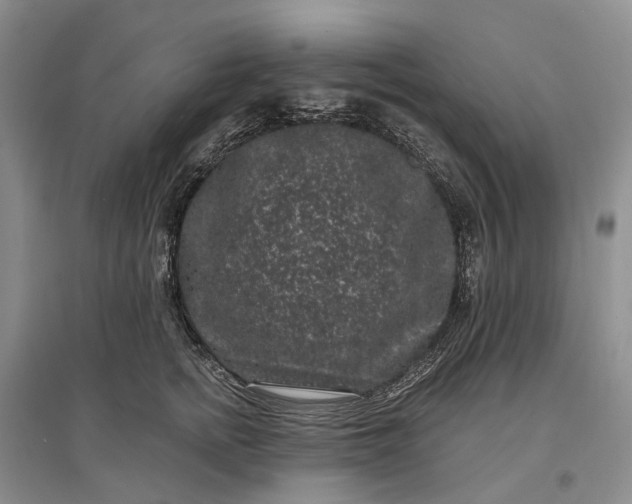 X0000097290758200802291751