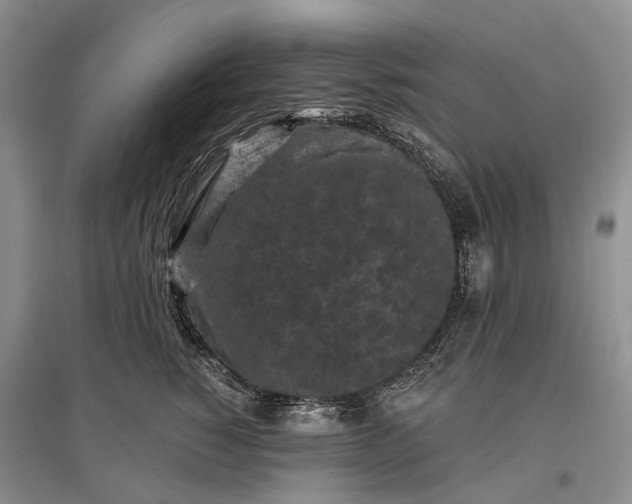 X0000097290760200802291751