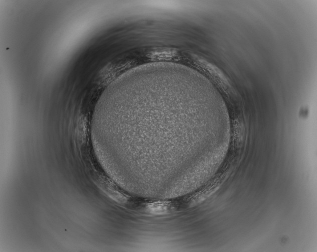 X0000097290761200802291751