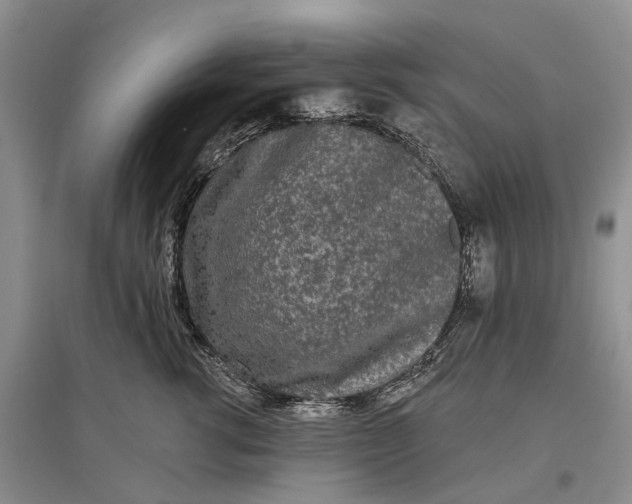 X0000097290762200802291751