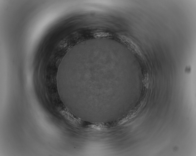 X0000097290763200802291751