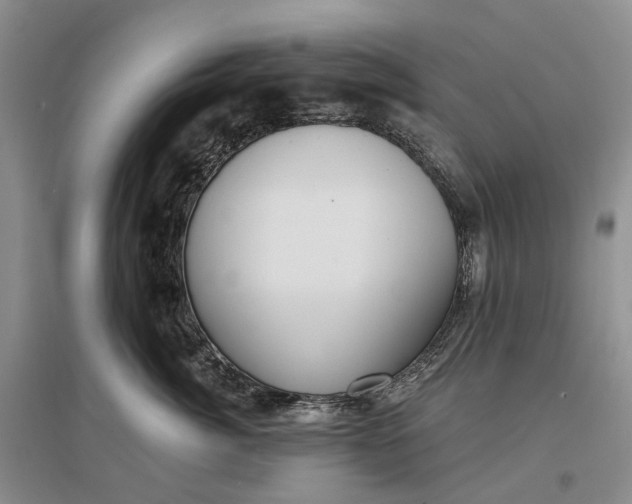 X0000097290764200802291751