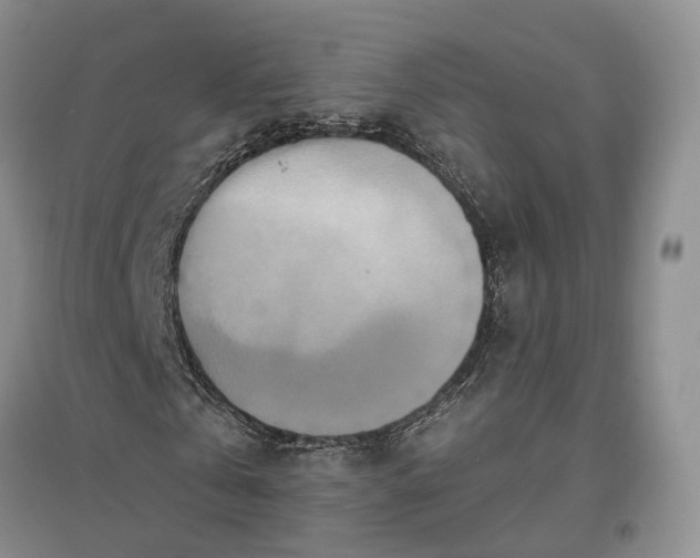 X0000097290769200802291750