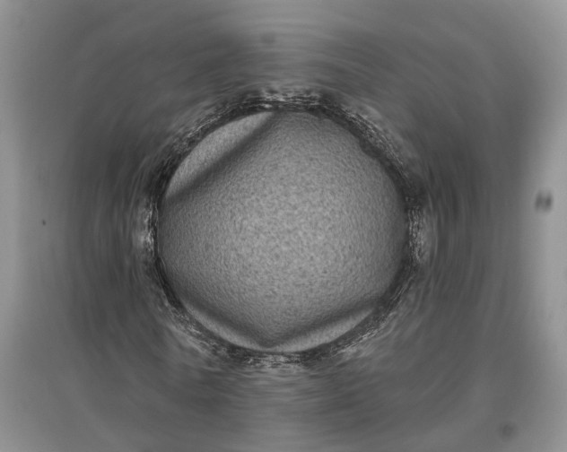 X0000097290770200802291750