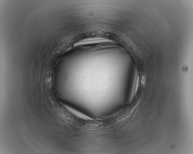 X0000097290771200802291750