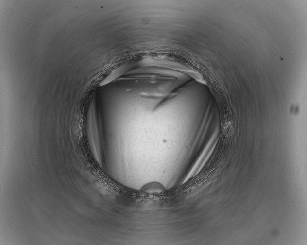 X0000097290772200802291750