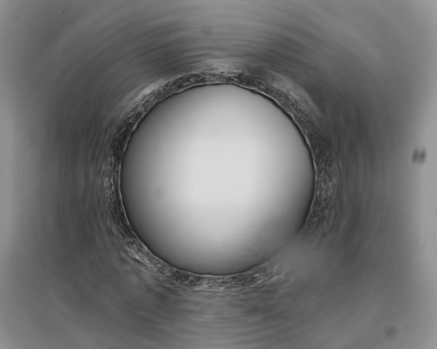 X0000097290773200802291750
