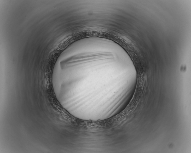 X0000097290774200802291750