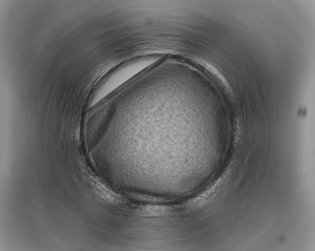 X0000097290777200802291750
