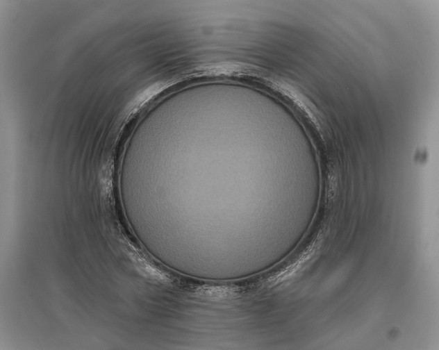 X0000097290778200802291750