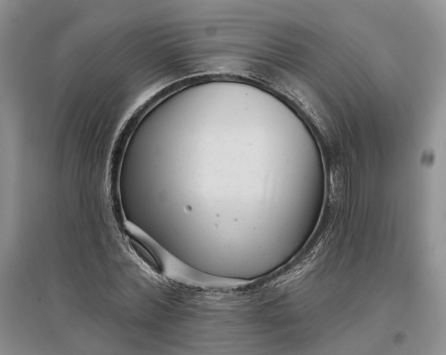 X0000097290780200802291750