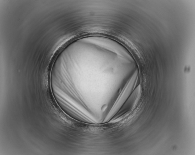 X0000097290782200802291750