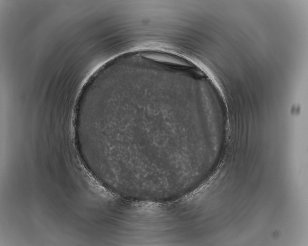 X0000097290783200802291750