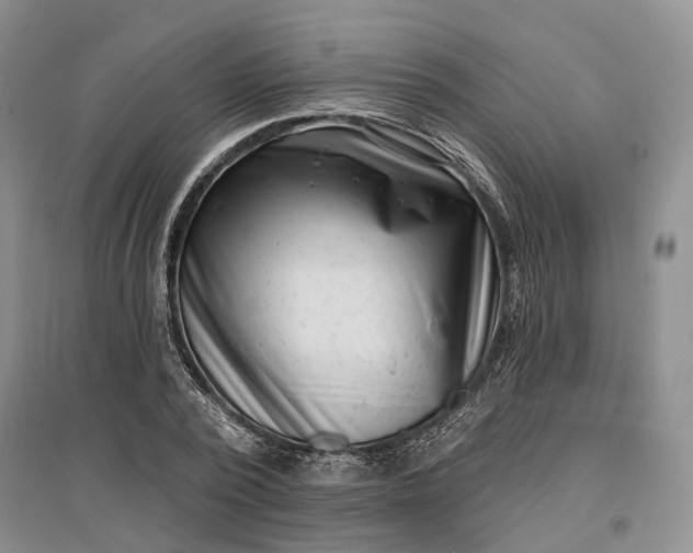 X0000097290784200802291750