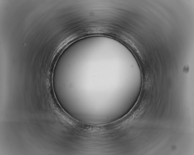 X0000097290786200802291750