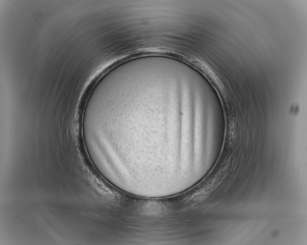 X0000097290787200802291750