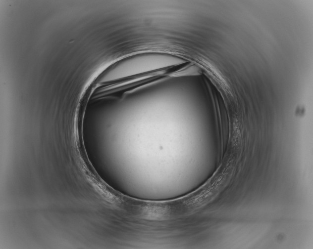 X0000097290788200802291750