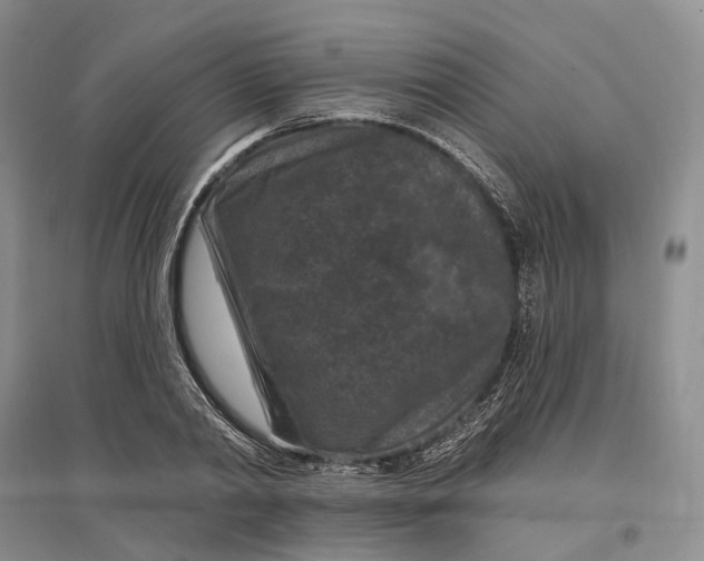X0000097290790200802291750