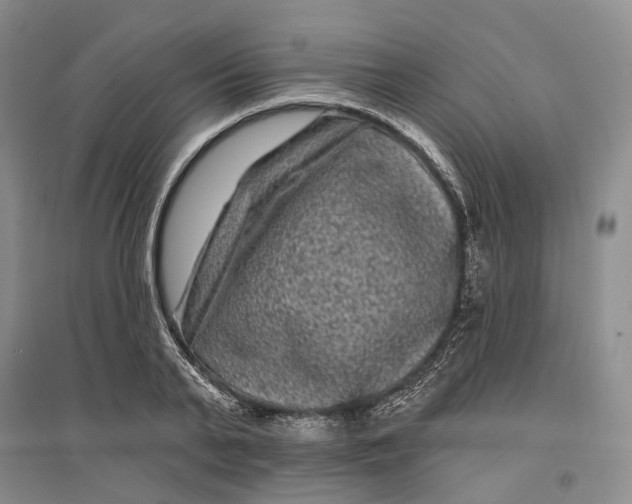X0000097290791200802291750