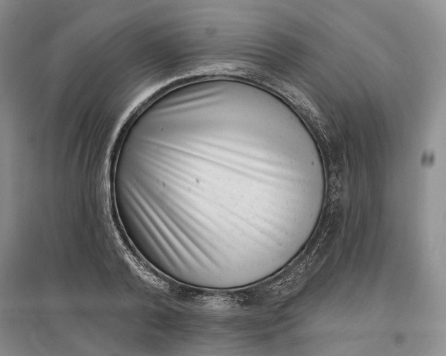 X0000097290792200802291750