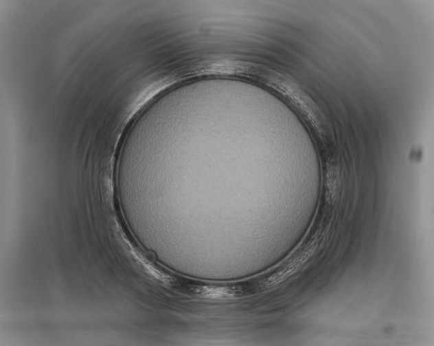 X0000097290794200802291750