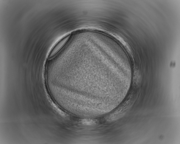 X0000097290799200802291750