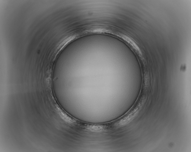 X0000097290801200802291750