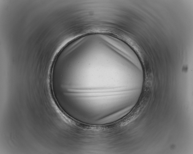 X0000097290803200802291750