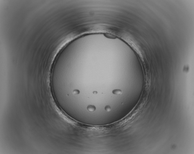 X0000097290805200802291750